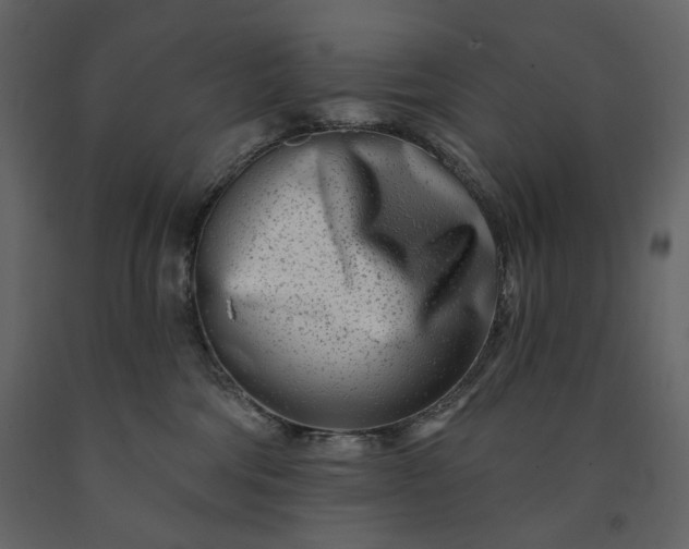 X0000091170330200708231511