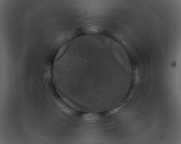 X0000091170331200708231511