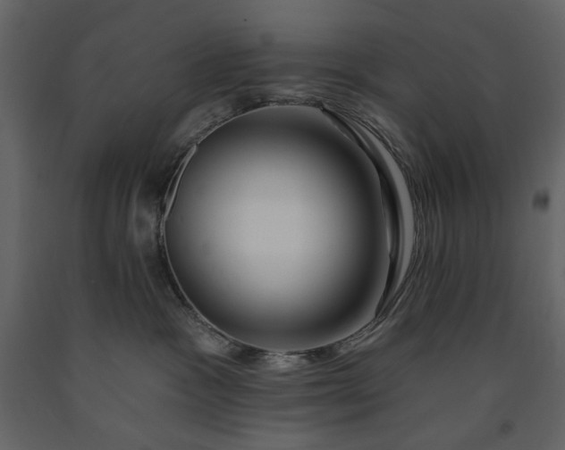 X0000091170333200708231511