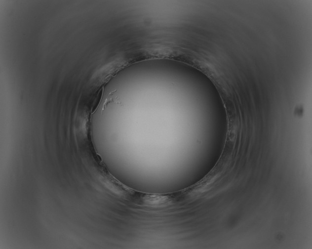 X0000091170334200708231511