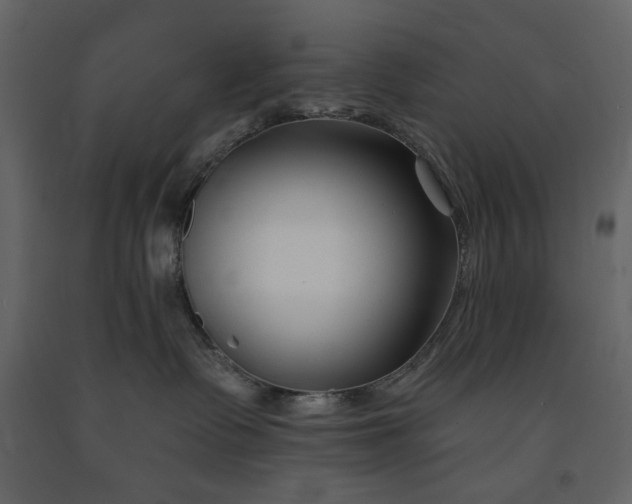 X0000091170335200708231511