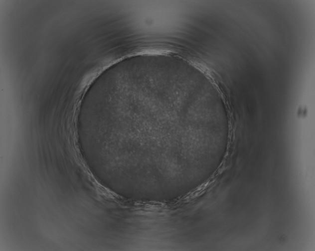 X0000091170337200708231510