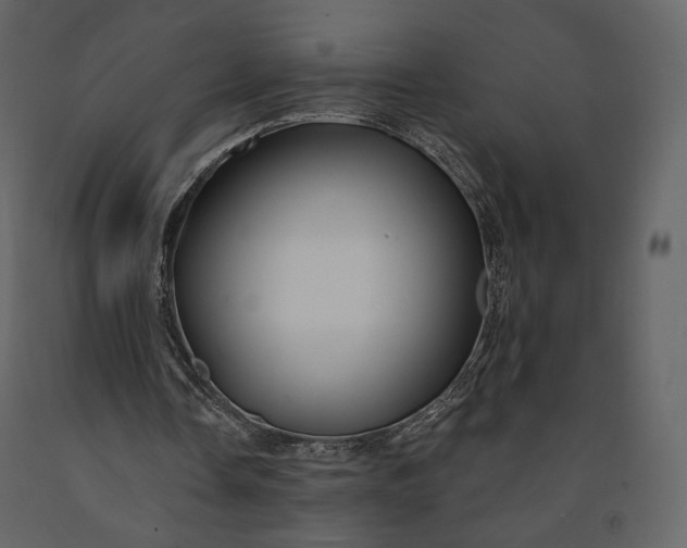 X0000091170338200708231510