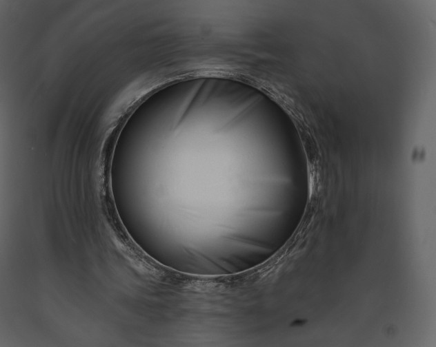 X0000091170339200708231510