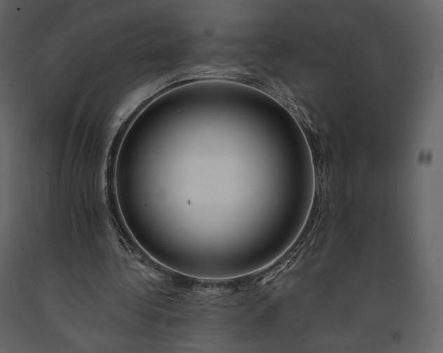 X0000091170340200708231510