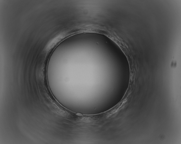 X0000091170341200708231510