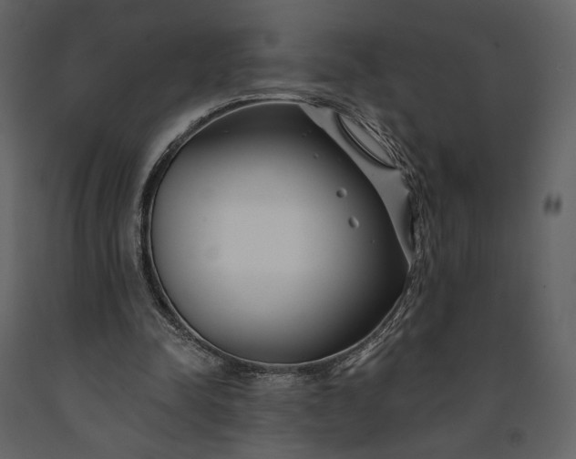 X0000091170342200708231510