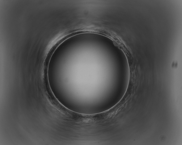 X0000091170344200708231510