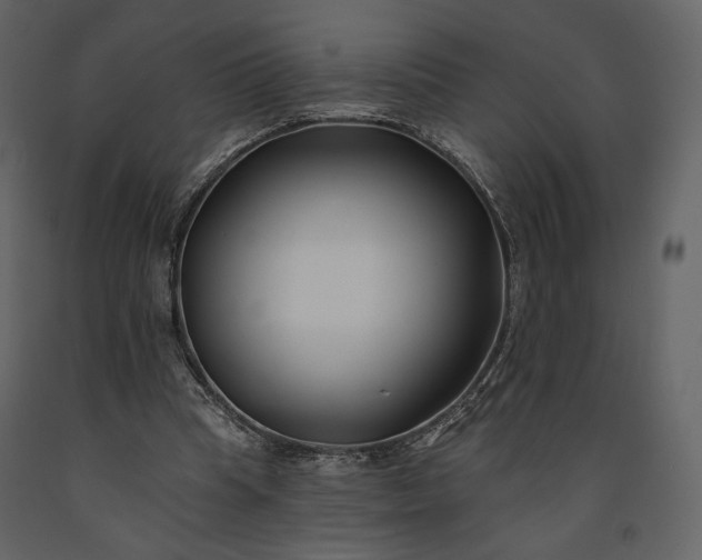 X0000091170345200708231510