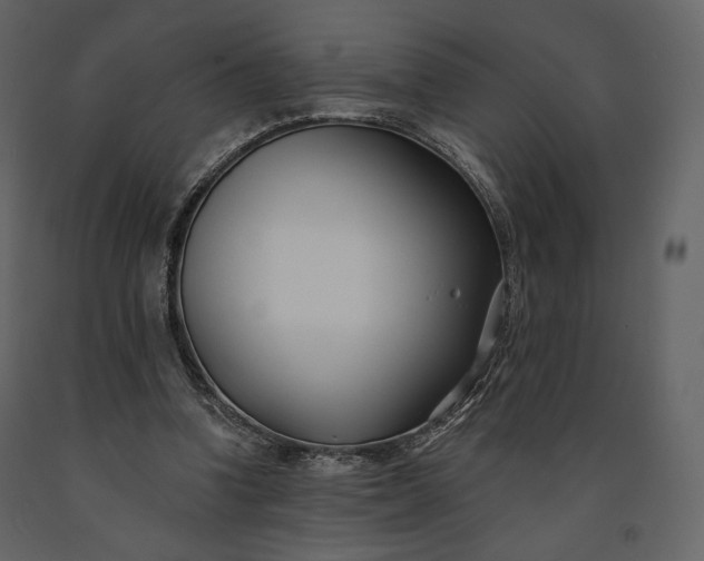 X0000091170346200708231510