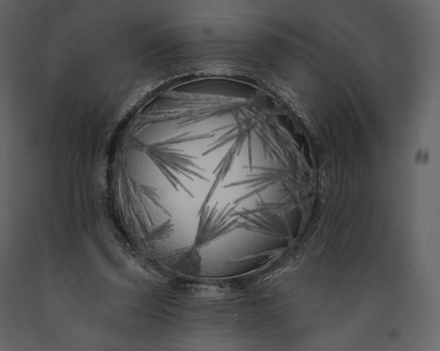 X0000091170347200708231510