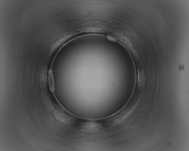 X0000091170348200708231510