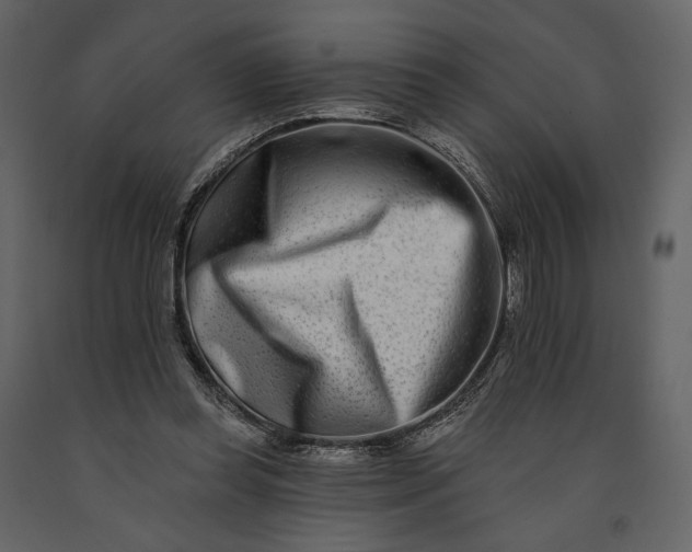 X0000091170349200708231510