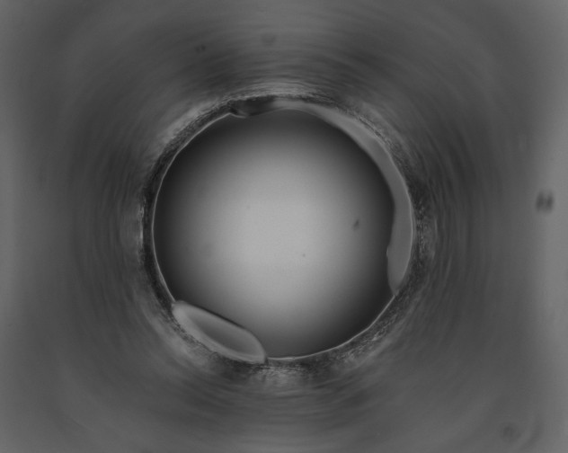 X0000091170350200708231510