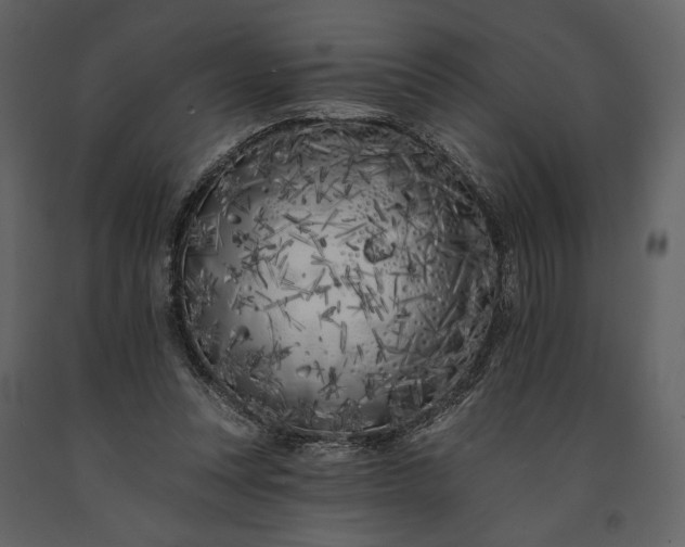 X0000091170351200708231510