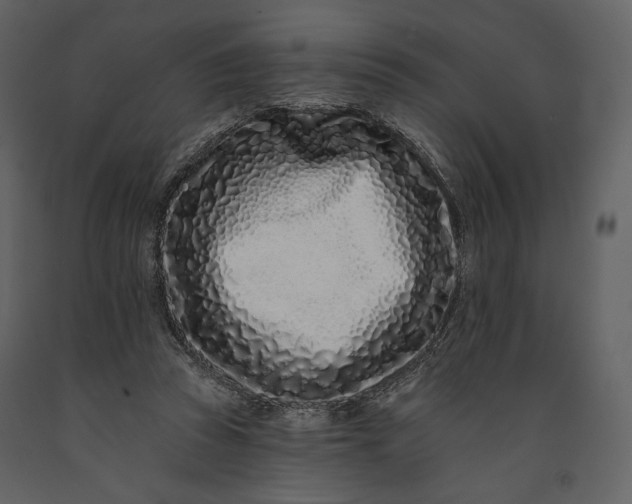 X0000091170353200708231510