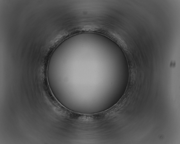 X0000091170354200708231510