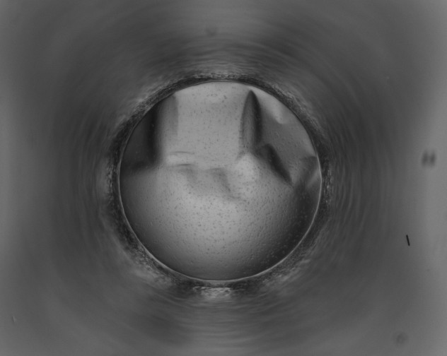 X0000091170355200708231510