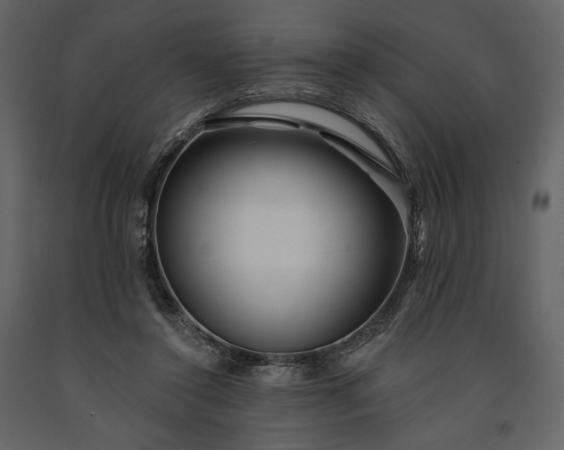 X0000091170356200708231510