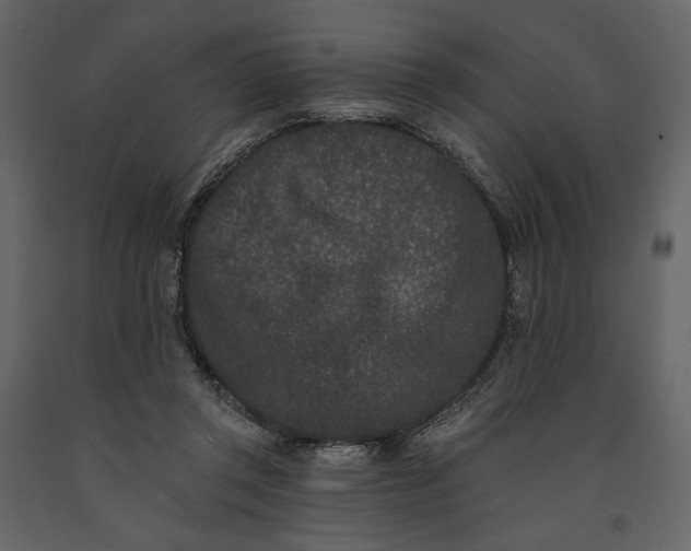 X0000091170357200708231510