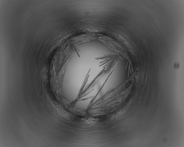 X0000091170359200708231510