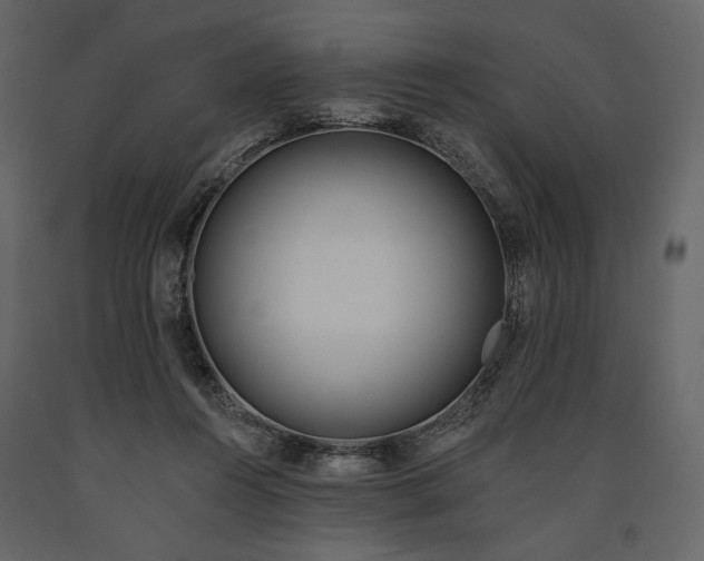 X0000091170360200708231510