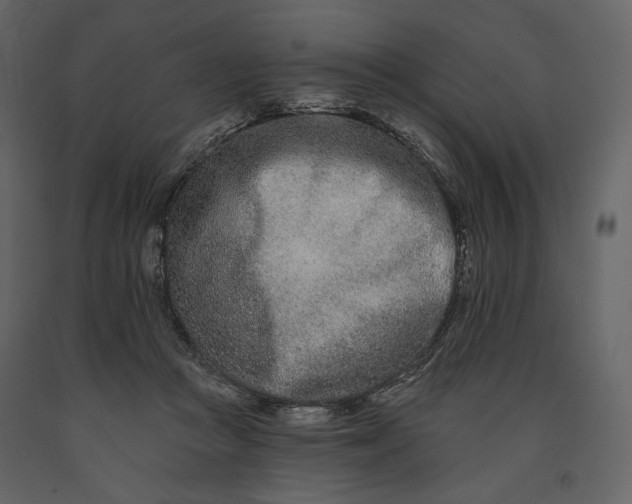 X0000091170361200708231510