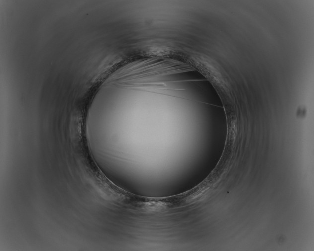 X0000091170363200708231510