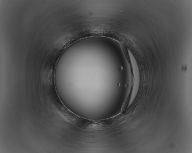 X0000091170364200708231510