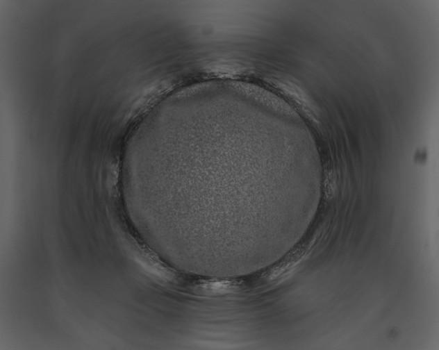 X0000091170365200708231510