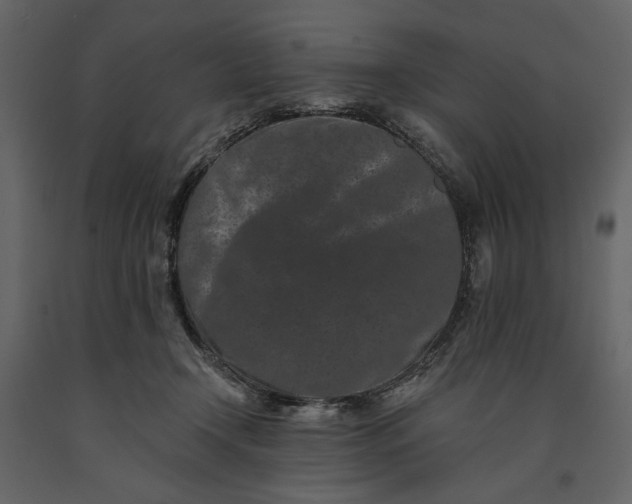 X0000091170366200708231510