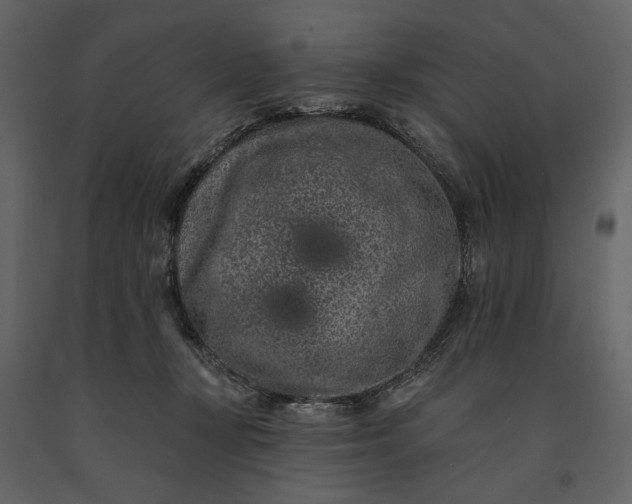 X0000091170367200708231510