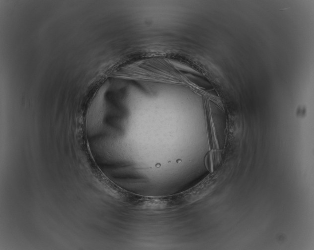 X0000091170369200708231511