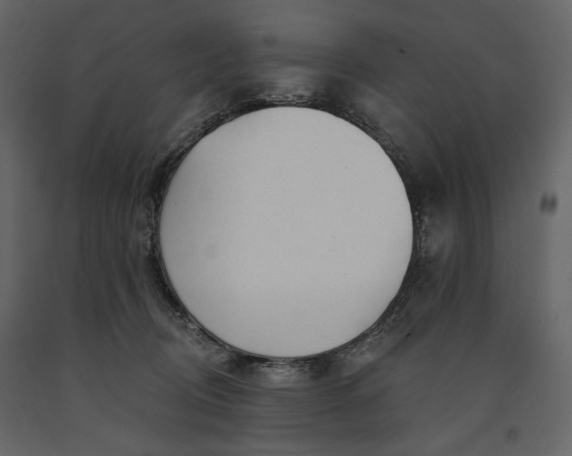 X0000091170370200708231511