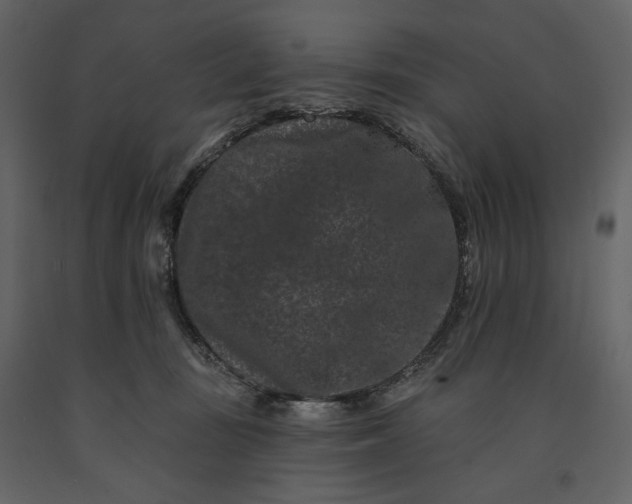 X0000091170371200708231511