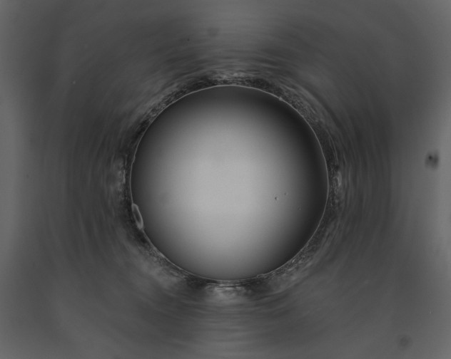 X0000091170372200708231511