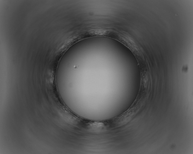 X0000091170374200708231511