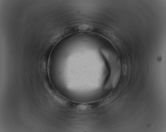 X0000091170375200708231511