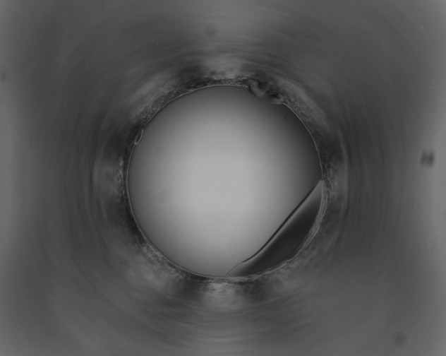 X0000091170376200708231511