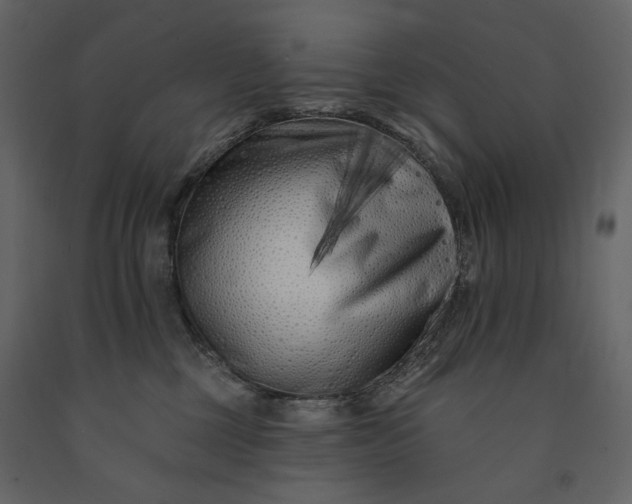 X0000091170377200708231511