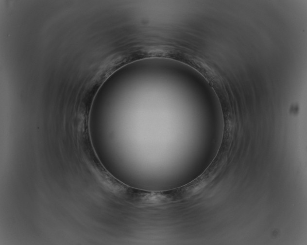 X0000091170379200708231511