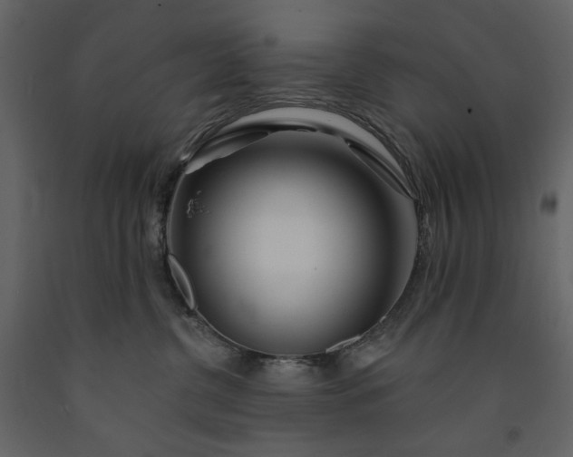 X0000091170380200708231511