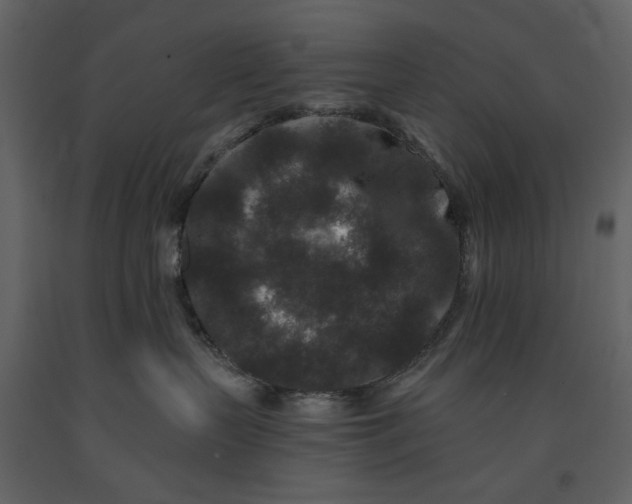 X0000091170383200708231511