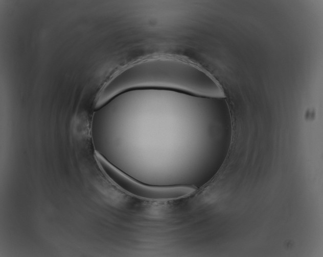 X0000091170384200708231511