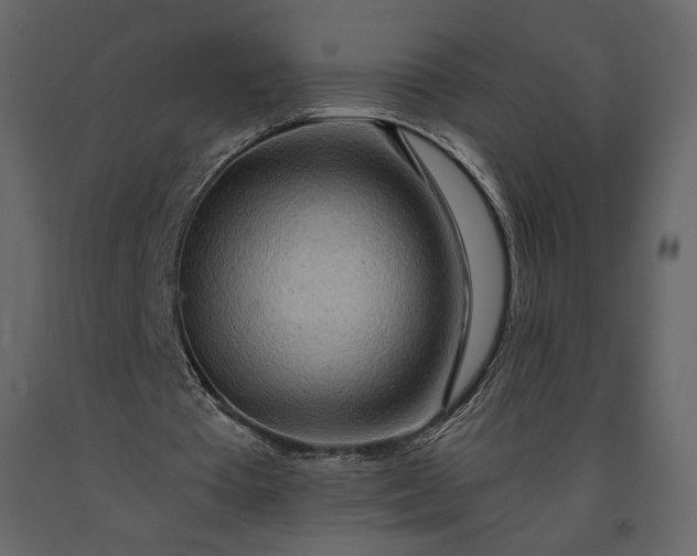 X0000091170385200708231510