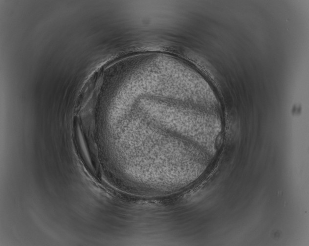 X0000091170386200708231510