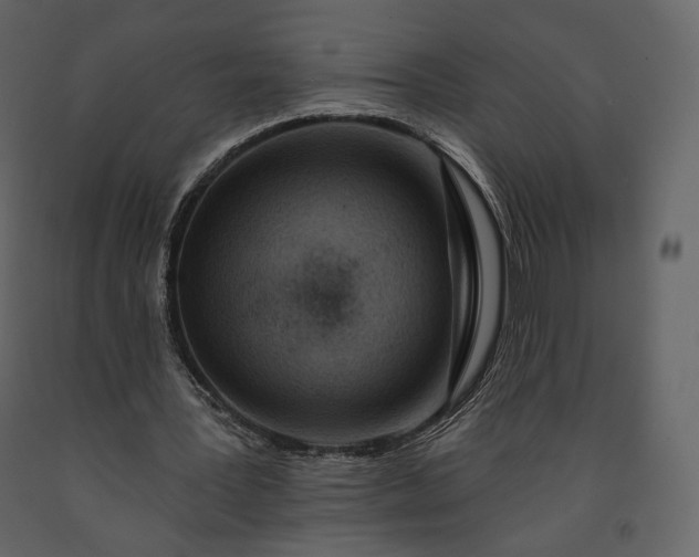 X0000091170387200708231510