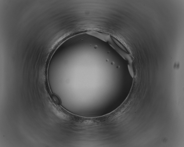 X0000091170390200708231510