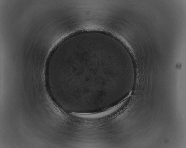 X0000091170391200708231510