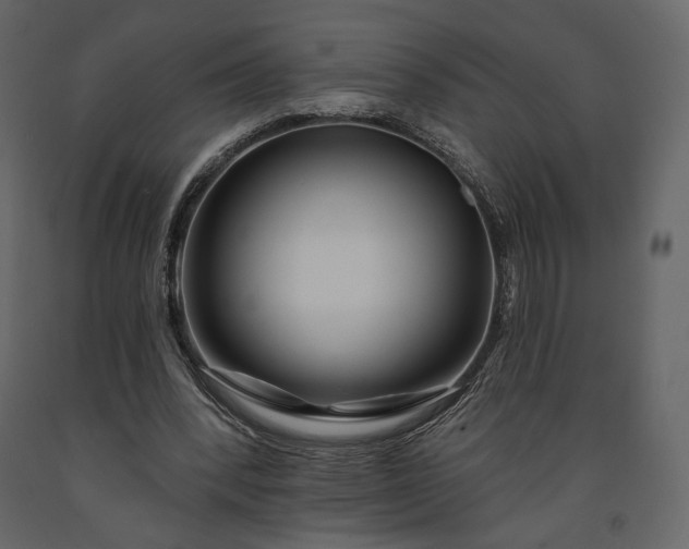 X0000091170392200708231510